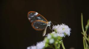 185077_470169176346956_1317315944_n