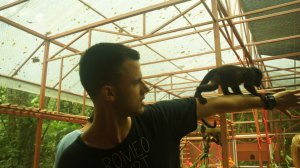 250372_469522426411631_1008392992_n