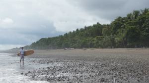 251477_469525939744613_1968387509_n