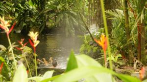 262814_470179423012598_608960070_n