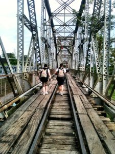 293879_448453851851822_1046249433_n