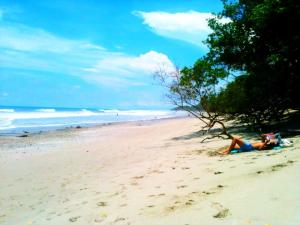 313548_459602504070290_994841779_n