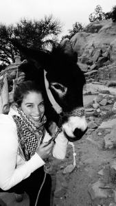 379543_329029553794253_1026858076_n