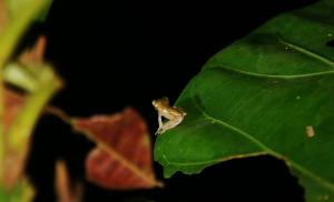 391321_452592238104650_857339668_n