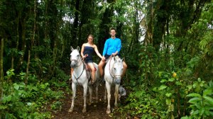 393444_470185153012025_1123432817_n