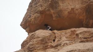 399767_329023330461542_335676853_n