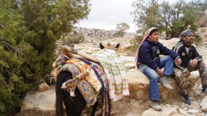 405548_329028273794381_1876574624_n