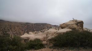 405656_329019793795229_2018993855_n