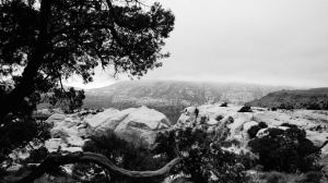 407651_329013257129216_1148501741_n