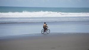 421718_469525486411325_1678639590_n