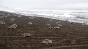 538600_469829356380938_971967627_n