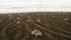 554773_469826909714516_1265313471_n