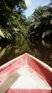 557432_452581458105728_1286526984_n