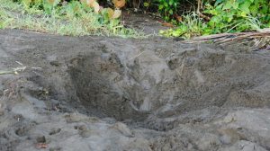 578707_452577358106138_471425048_n