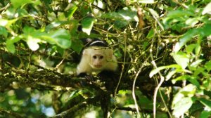 599836_452580441439163_146696040_n