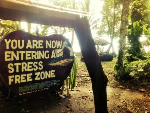 600114_455875774442963_1158366098_n