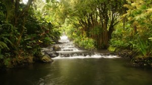 603344_470177559679451_1667275707_n