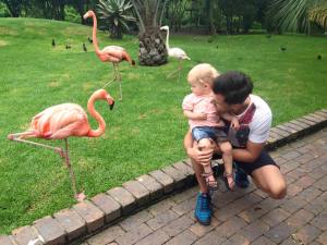 10354221_893998280630708_112886427004222616_n