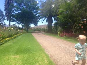 10458116_889933564370513_5511453892095930745_n