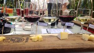 10858394_889933701037166_5061577328126738178_n