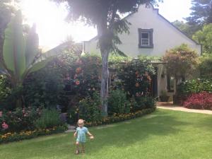 10885217_889934947703708_5991802561072200499_n