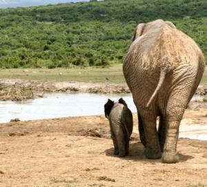 248649_523599581003915_1667241442_n