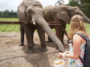 321007_523598867670653_1307185833_n