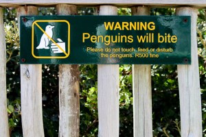 4528392982_6241ca3048_o