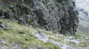 538542_523593224337884_671232418_n