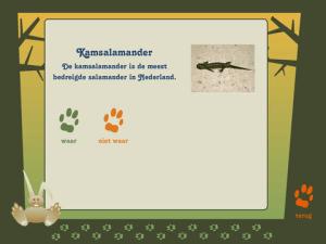dieren