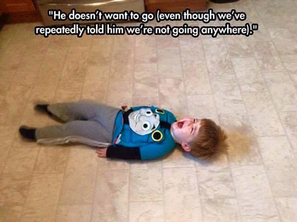 12832485_1120325231332863_5123894473549012435_n