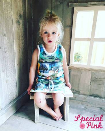 speelhuisje-nelly-van-steigerhout6