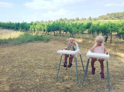 13718695_1227241343973065_1648153011460873898_n