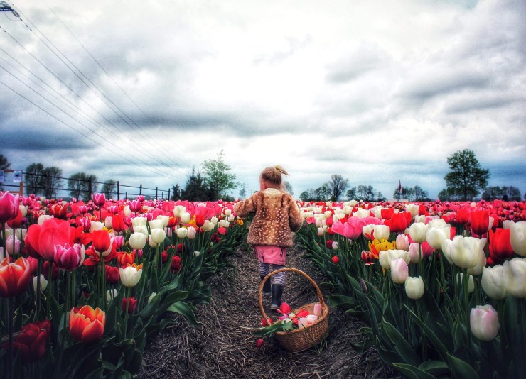 8AB30EEA-A6F2-4CCC-AAD9-DB4281CE4EB7