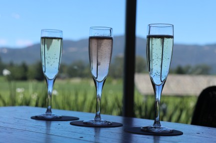 Napa bubbles vineyard reizen MOMspiration.nl