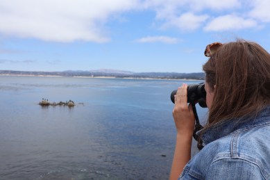 Monterey Bay Aquarium reizen MOMspiration.nl