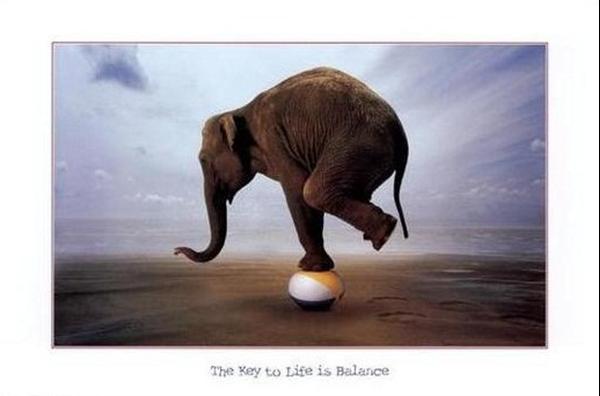 E53BB11E-2477-4C07-9CC0-A1C17C99B8EF