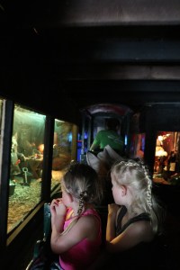 Duinrell MOMspiration La Place