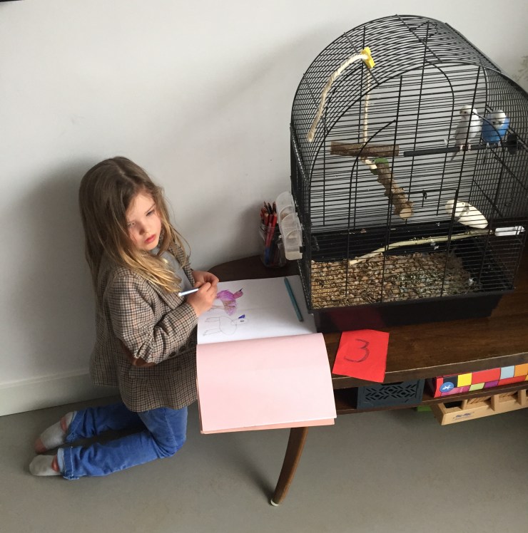 thuisonderwijs the flying dutch family