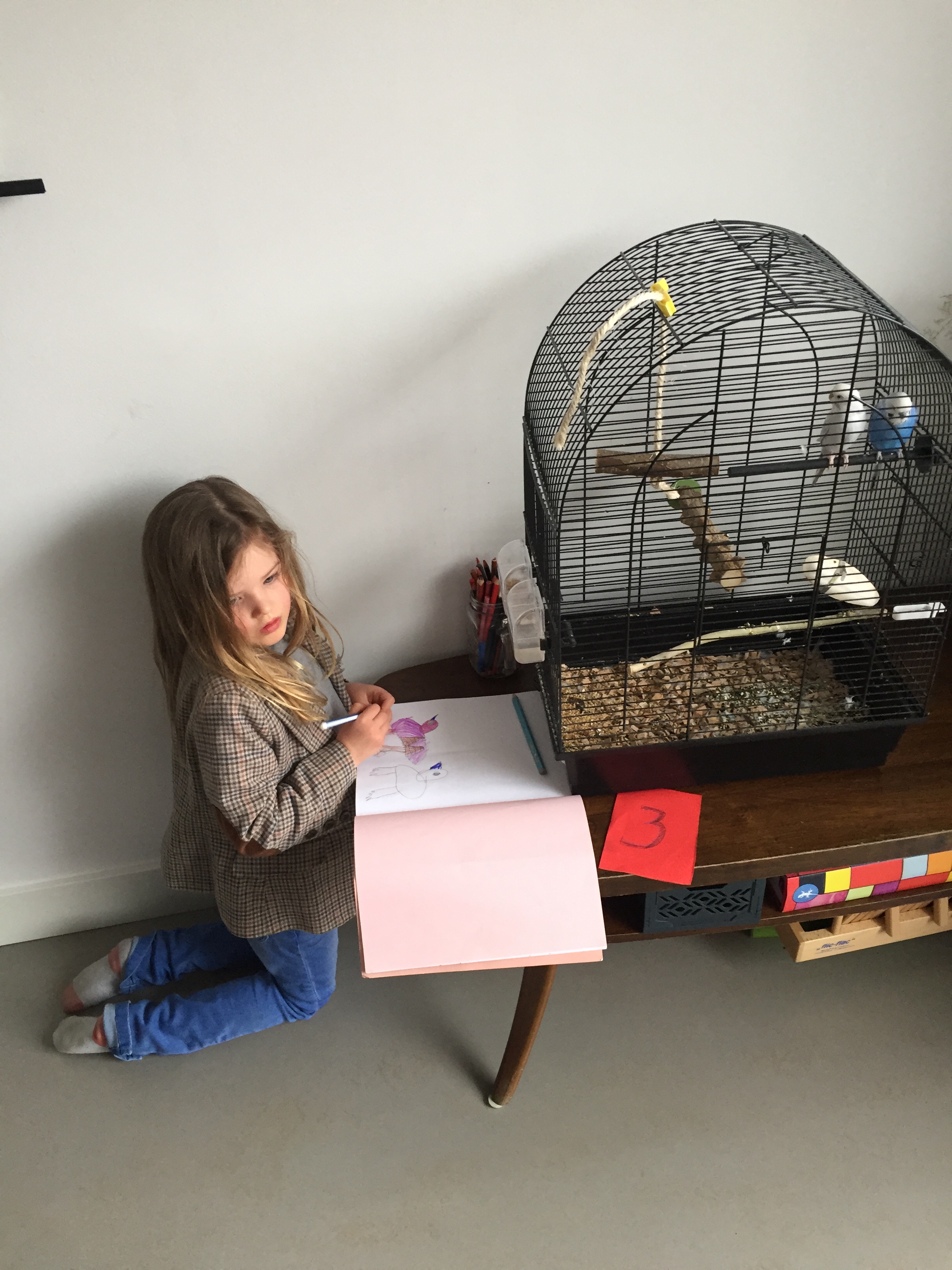 thuisonderwijs the flying dutch family