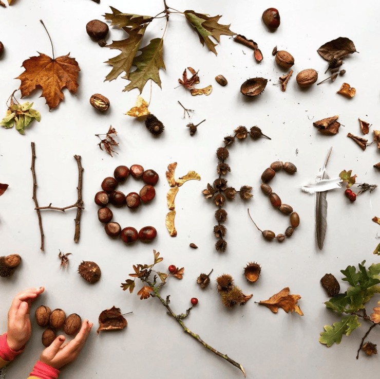 Herfstkunst - The Flying Dutch Family - Kate Swift