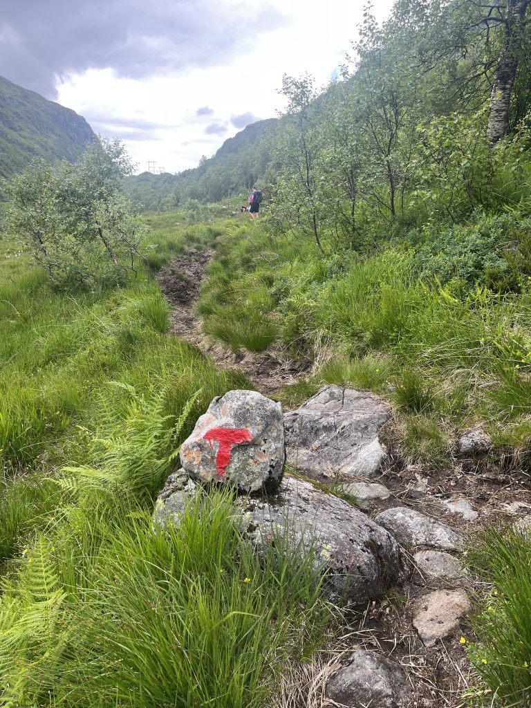 The Flying Dutch Family DNT traveling Norway